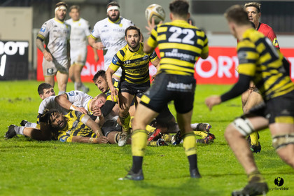Stade Montois Rugby - Carcassonne