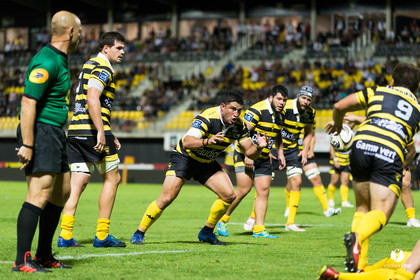 Rugby Stade Montois - Massy