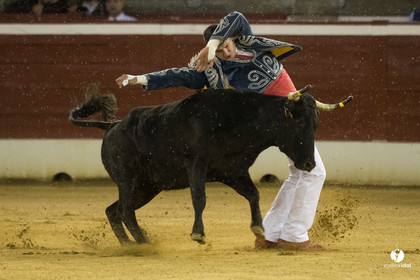 Mont-de-Marsan festival Art et Courage