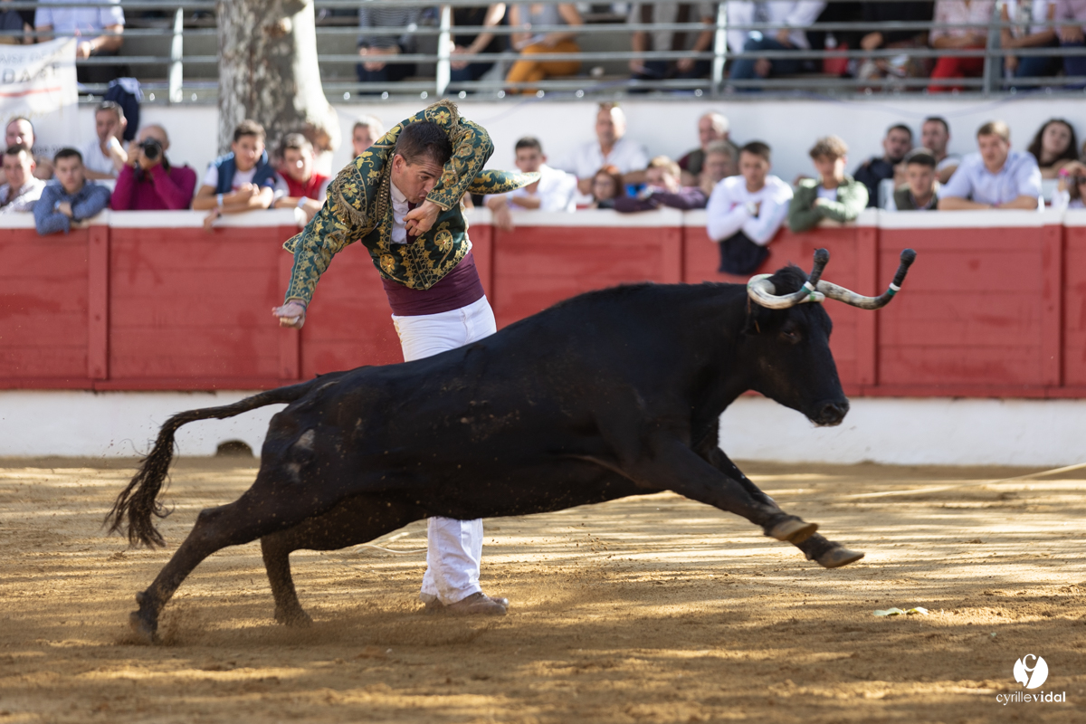 Nogaro Championnat de France de course landaise 2022