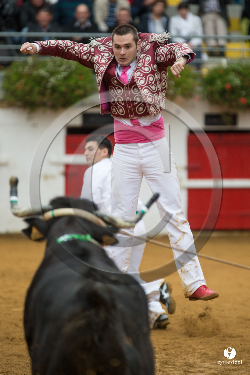 Nogaro Championnatde France de Course Landaise 2017