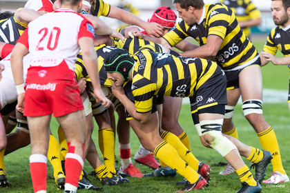 Stade Montois Rugby - Biarritz