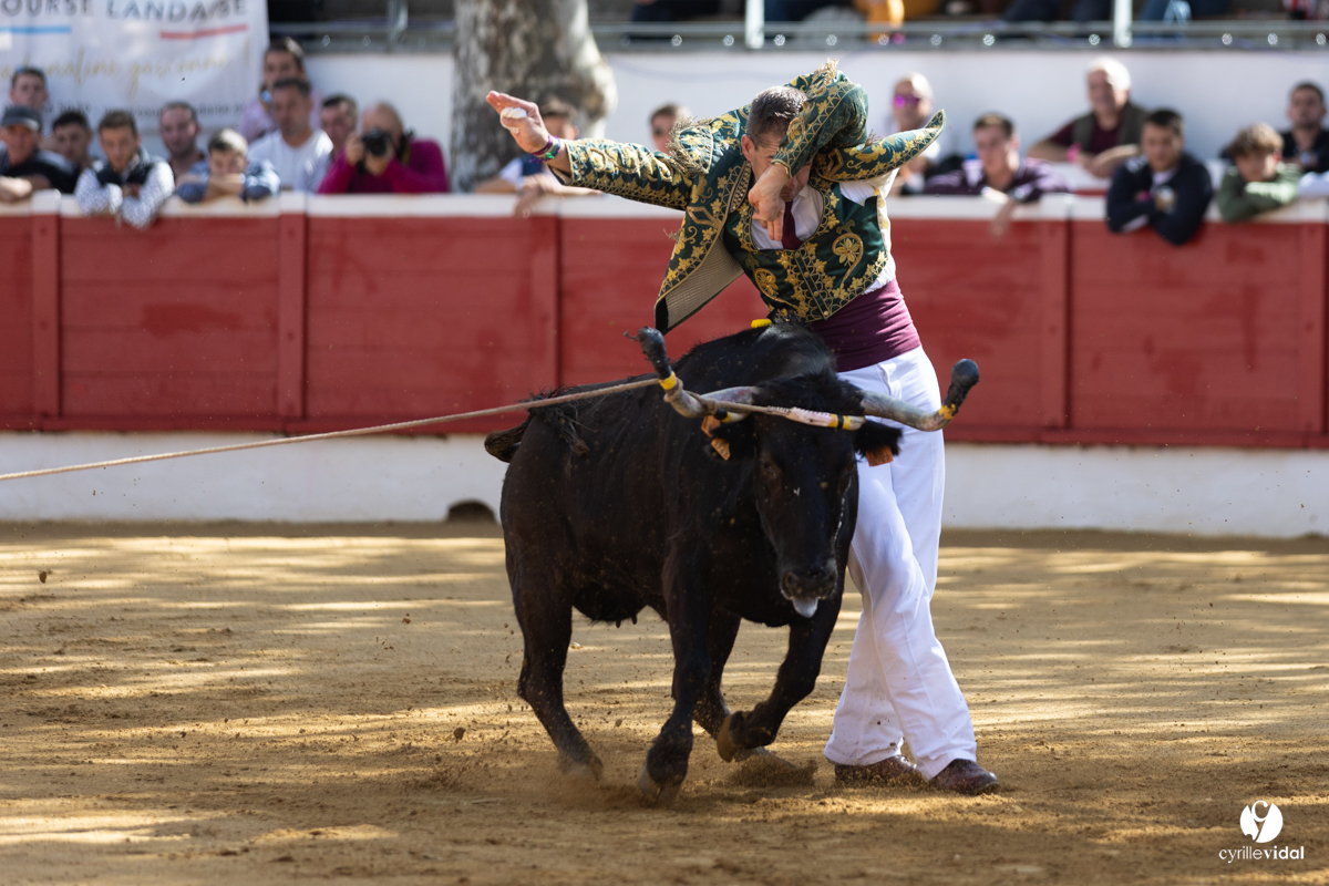 Nogaro Championnat de France de course landaise 2022