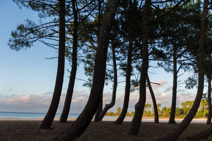 Paysages des Landes