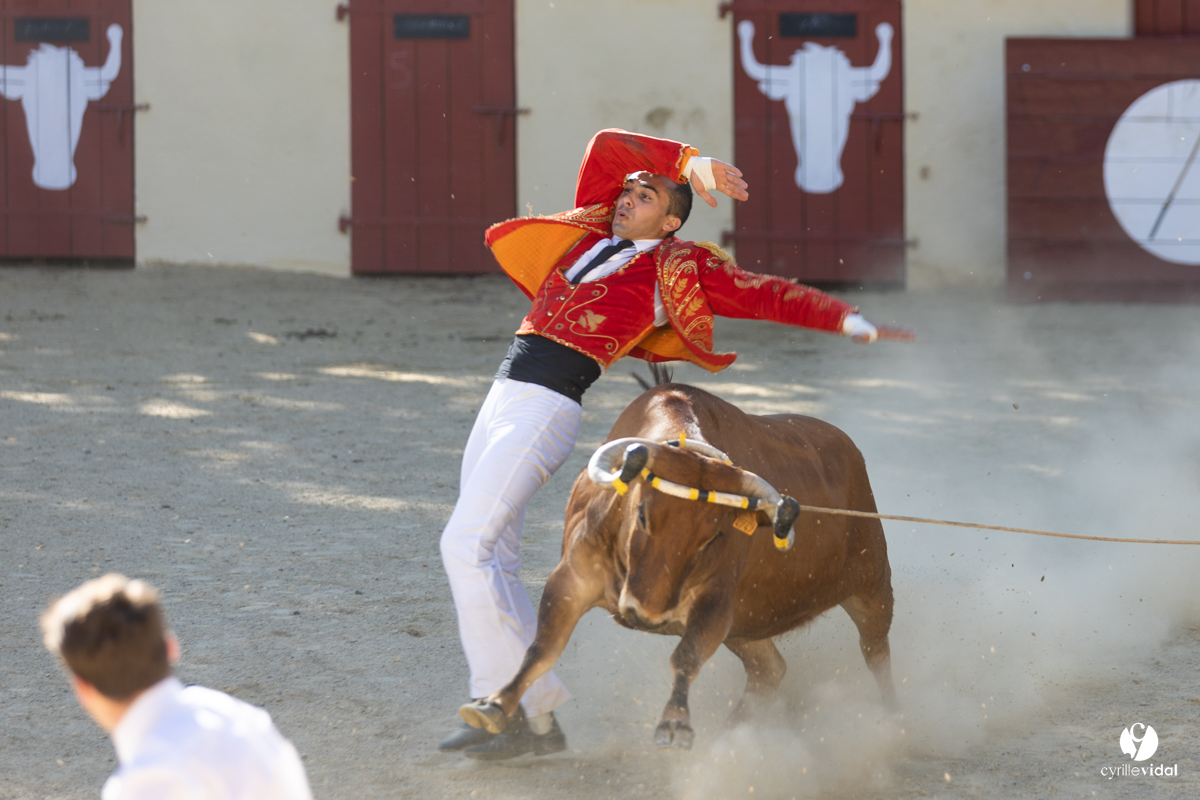Course landaise