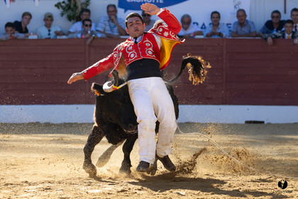 Aire-sur-l'Adour Championnat de France de course landaise 2023