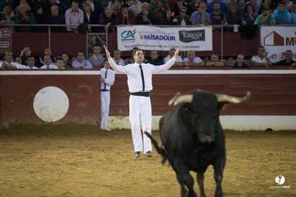 Mont-de-Marsan festival Art et Courage