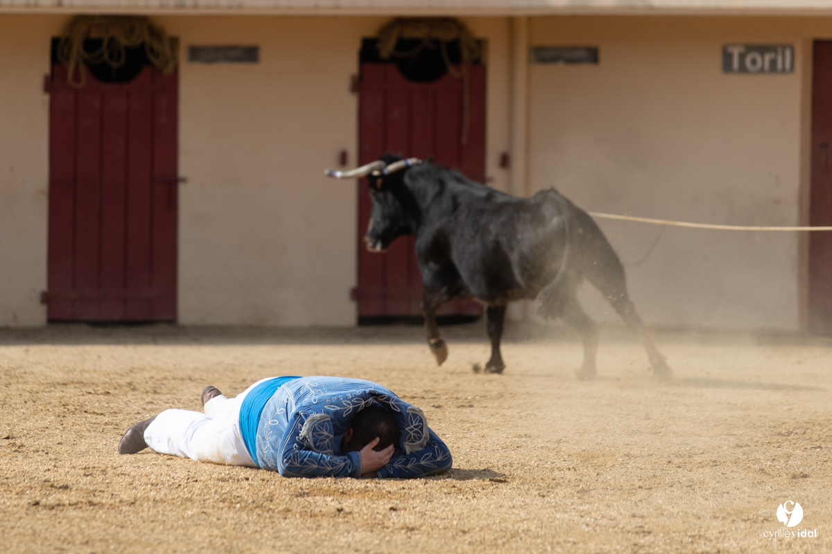 Course landaise Le Houga Ganadéria Dussau Cuadrilla Alexandre Brethes