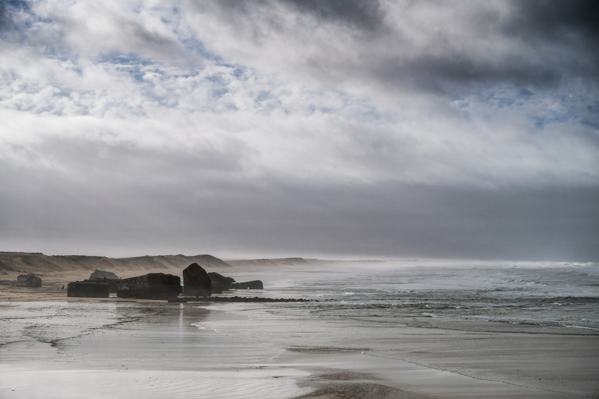 Paysages des Landes
