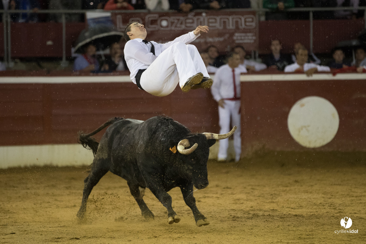 Mont-de-Marsan festival Art et Courage