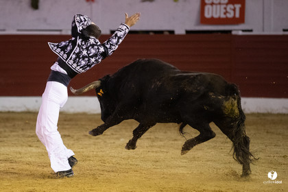 Landes émotions à Aire-sur-l'Adour