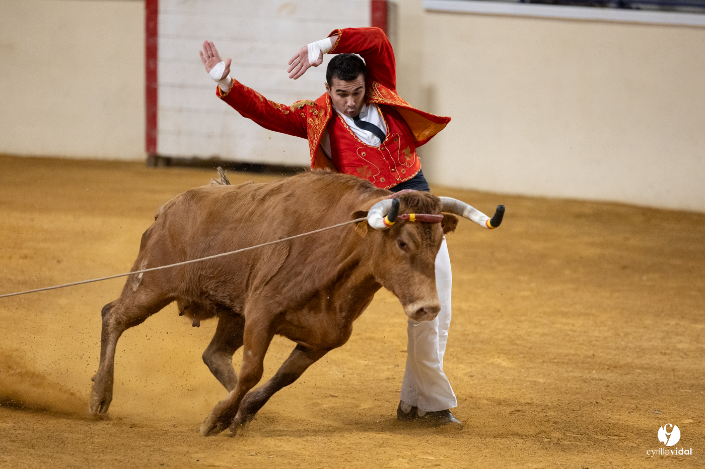 Horsarrieu course landaise du boléro d'Argent