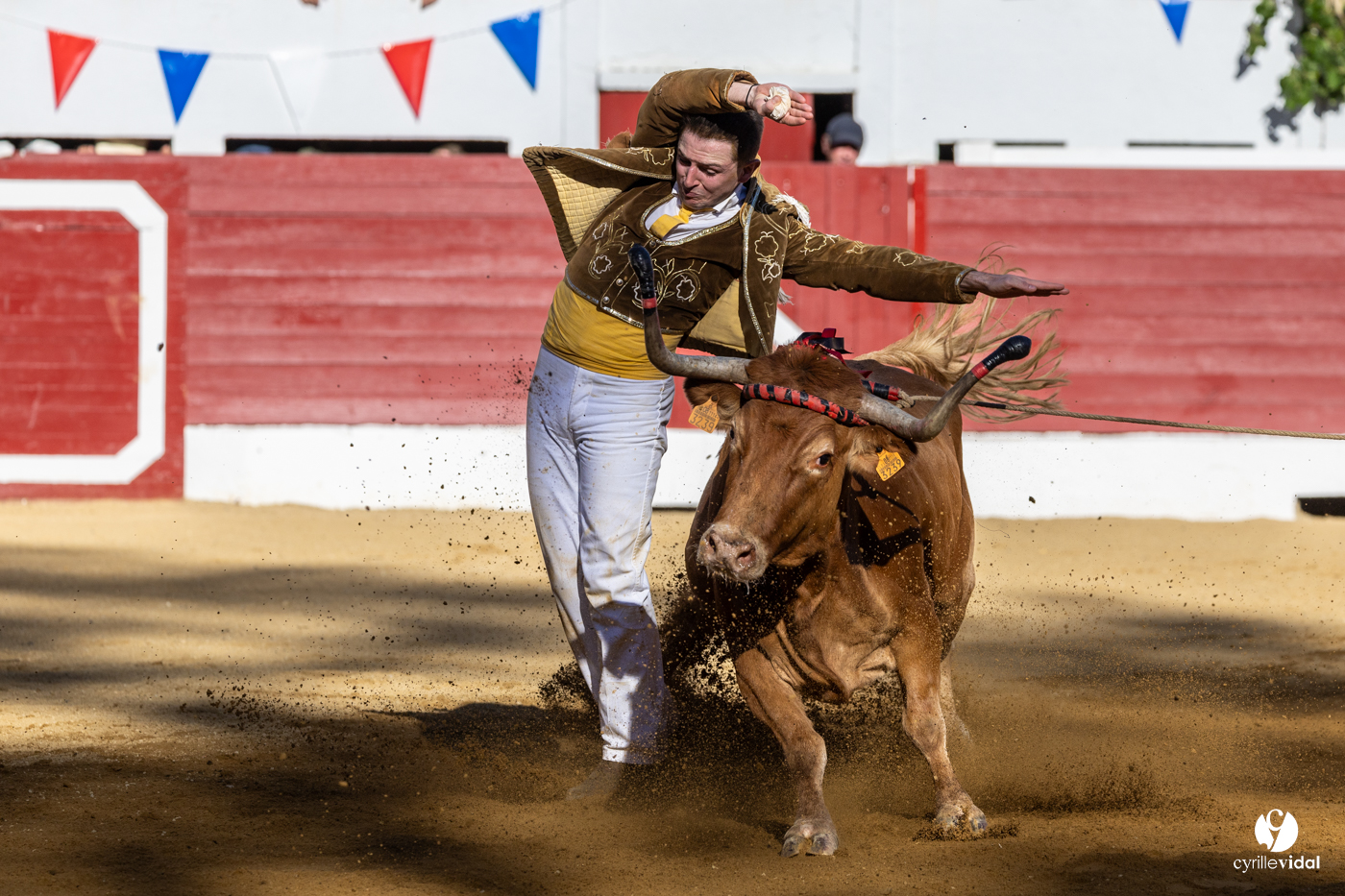 Aire-sur-l'Adour Championnat de France de course landaise 2023