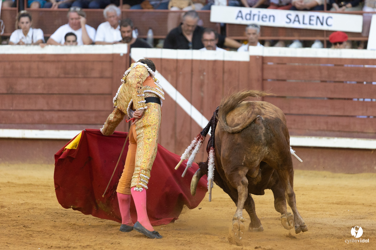 Corrida de Villeneuve-de-Marsan