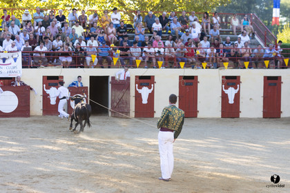 Course landaise