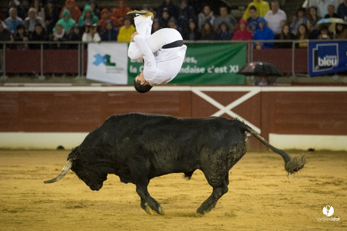 Mont-de-Marsan festival Art et Courage