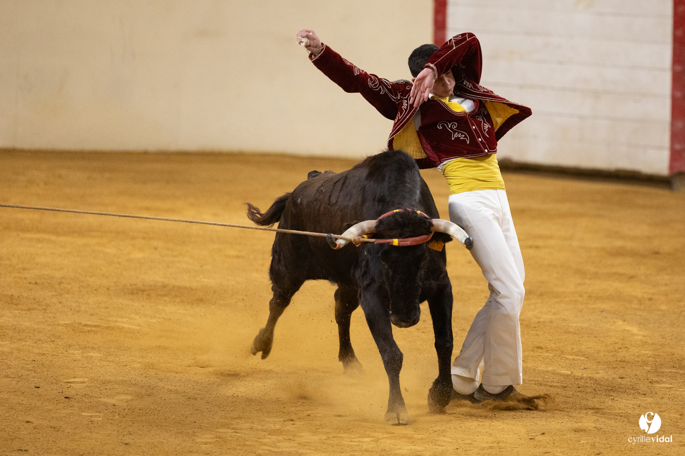 Horsarrieu course landaise du boléro d'Argent