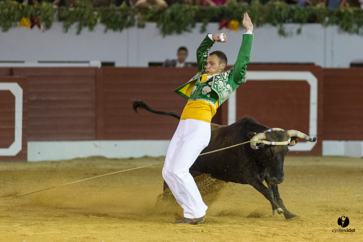 Aire sur l'Adour course landaise génération Aturine