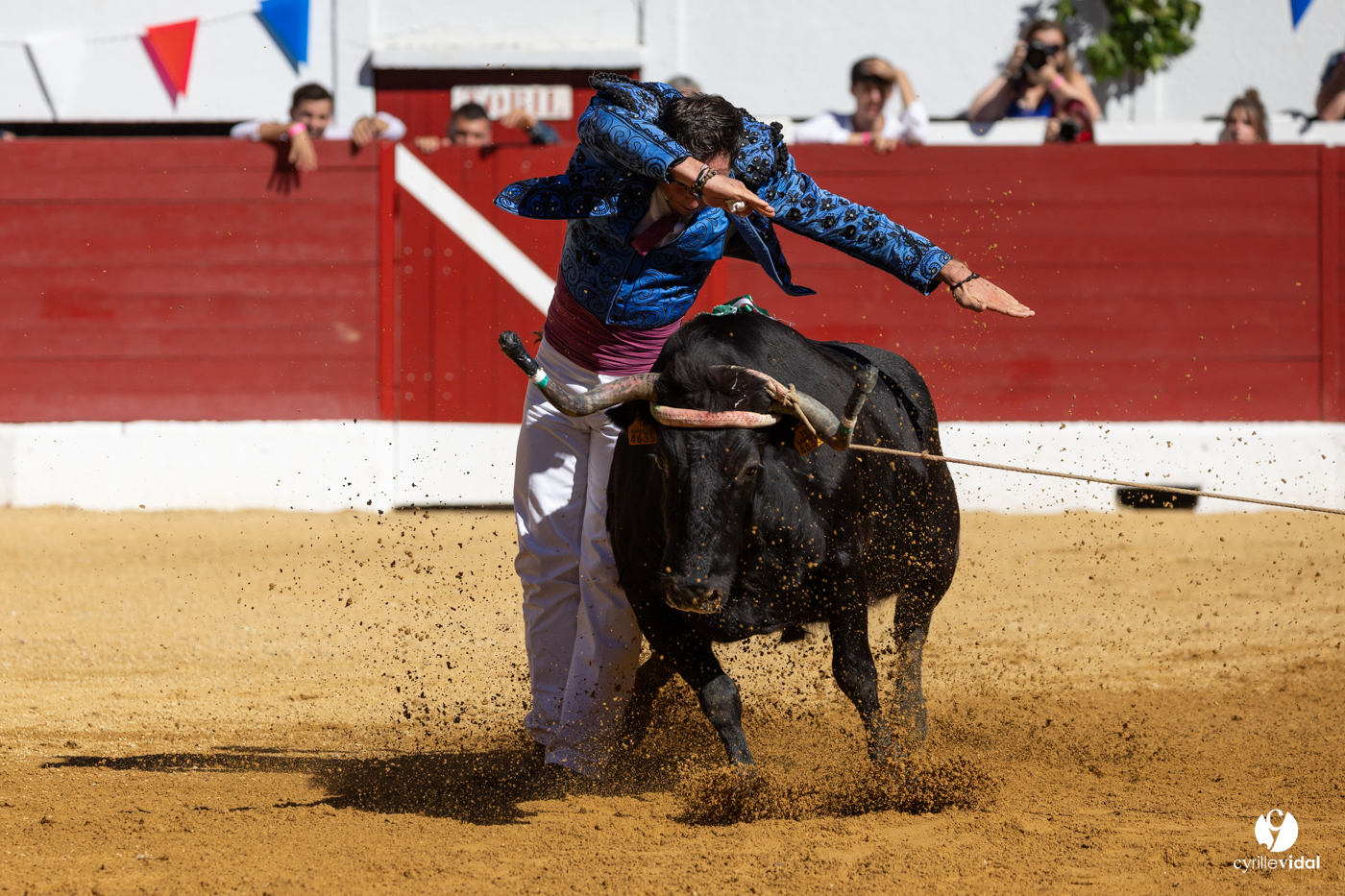 Aire-sur-l'Adour Championnat de France de course landaise 2023