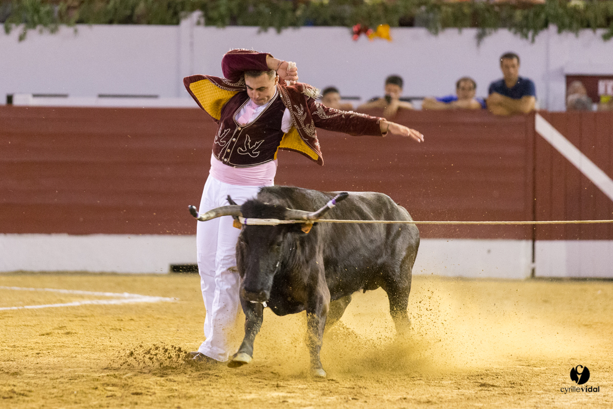 Aire sur l'Adour course landaise génération Aturine
