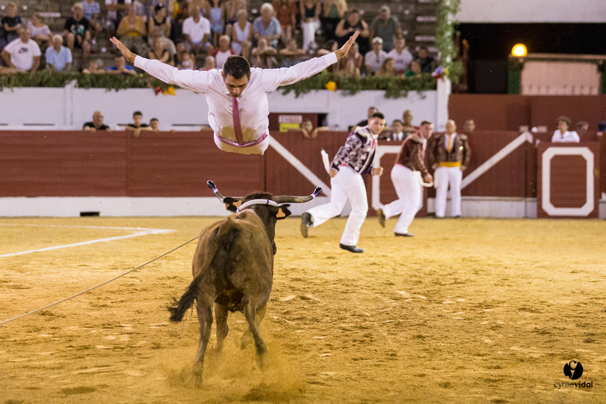 Aire sur l'Adour course landaise génération Aturine