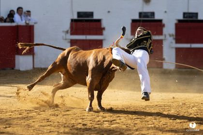 Nogaro Championnat de France de course landaise 2022