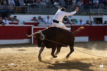 Nogaro Championnat de France de course landaise 2022