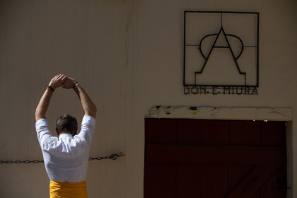 Mont-de-Marsan championnat de France de course landaise 2019