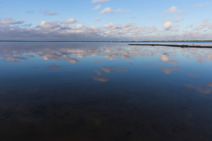 Paysages des Landes
