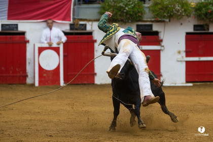 Nogaro Championnatde France de Course Landaise 2017