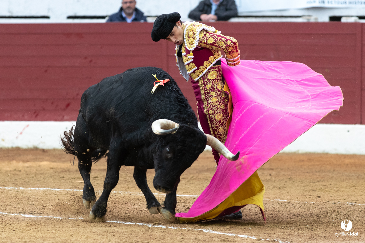 Corrida d'Aire sur l'Adour
