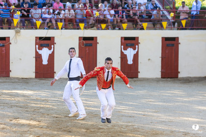 Course landaise