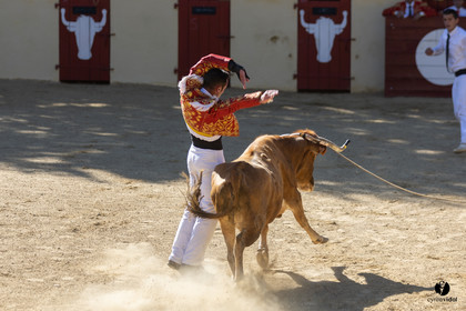 Course landaise