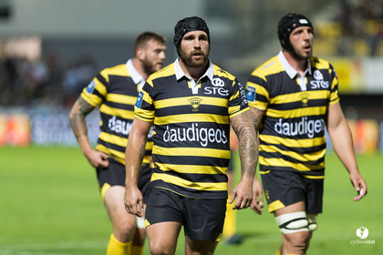 Rugby Stade Montois - Massy