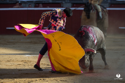 Mont-de-Marsan corrida d'Adolfo Martin