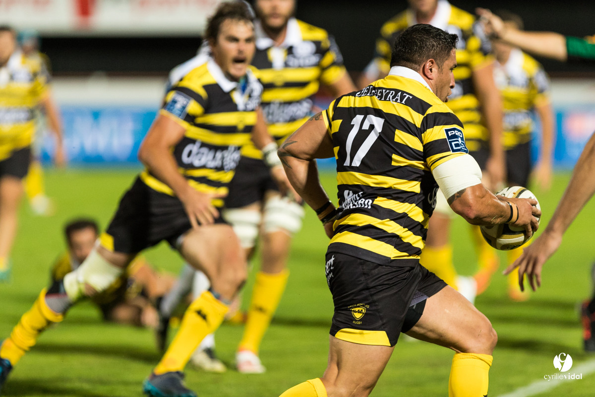 Rugby Stade Montois - Massy