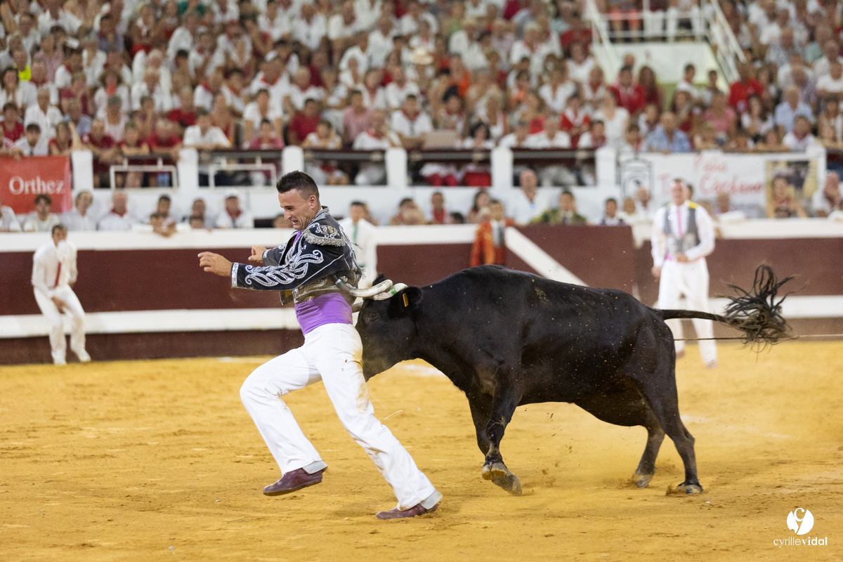Dax concours landais 2022