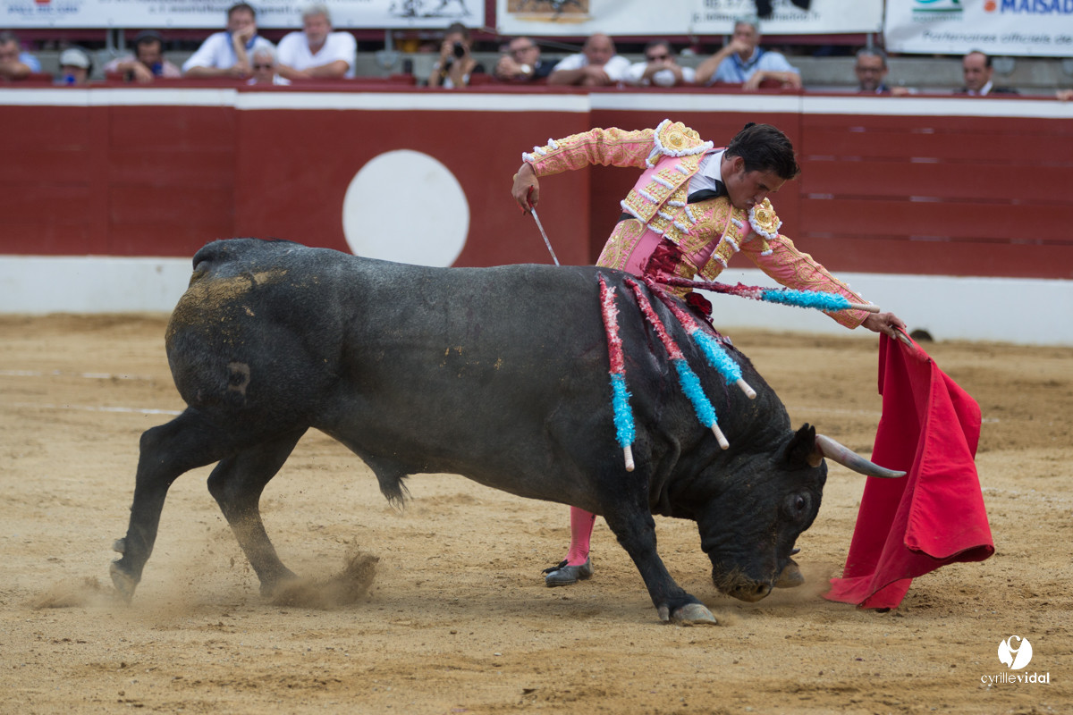 Mont-de-Marsan corrida d'Adolfo Martin