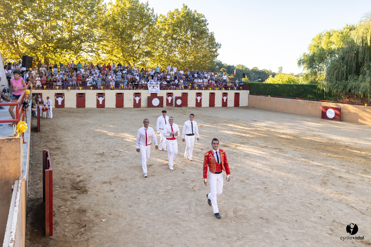 Course landaise