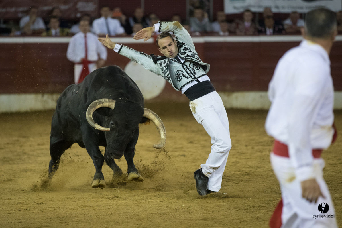 Mont-de-Marsan festival Art et Courage