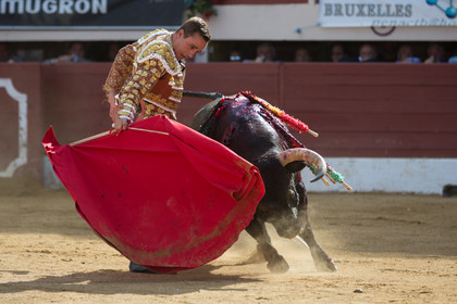 corrida, toro, vic fezensac, alcurrucen, michelito, morenito de aranda