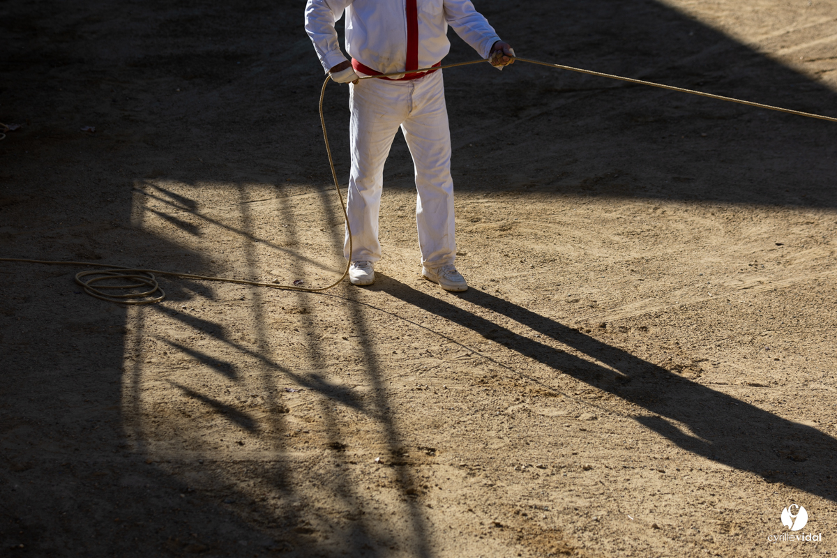 Course landaise