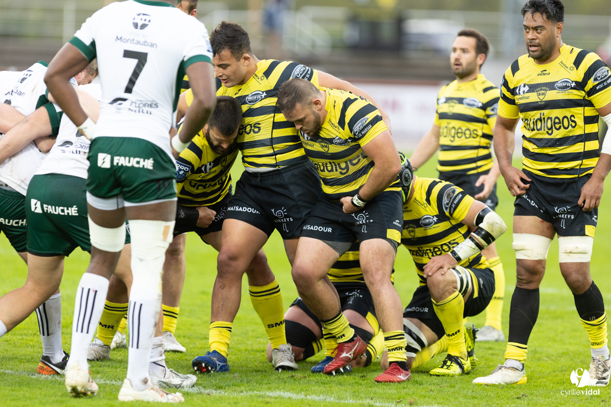 Stade Montois Rugby - Montauban