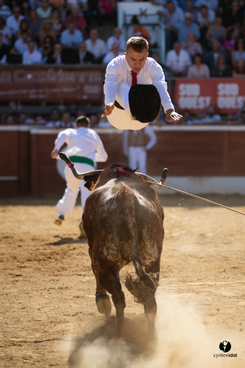 Mont-de-Marsan championnat de France de course landaise 2019