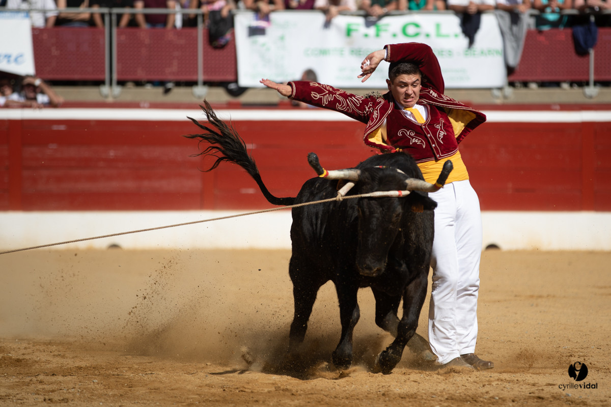 Mont-de-Marsan championnat de France de course landaise 2019