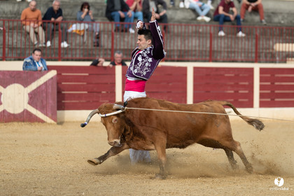 Course landaise Le Houga Ganadéria Dussau Cuadrilla Alexandre Brethes
