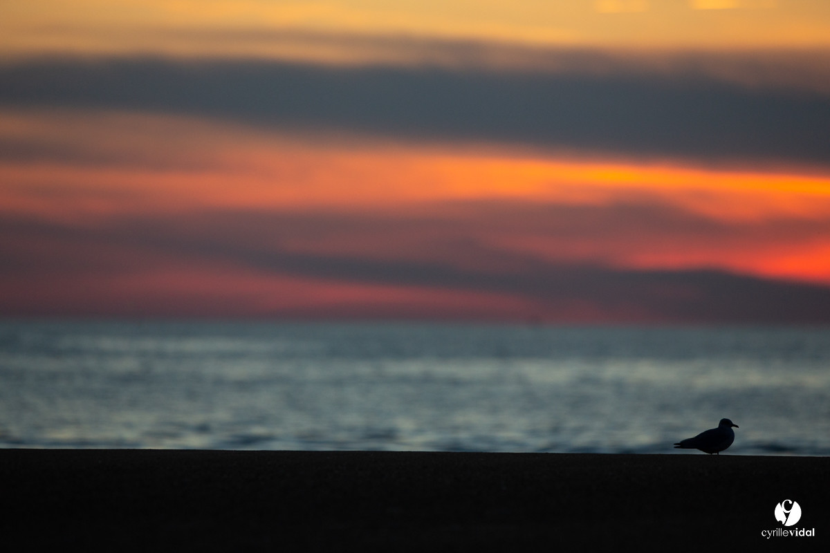 Océan Capbreton - Hossegor et Lac