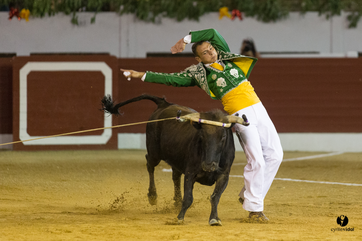 Aire sur l'Adour course landaise génération Aturine