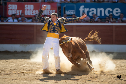 Mont-de-Marsan championnat de France de course landaise 2019