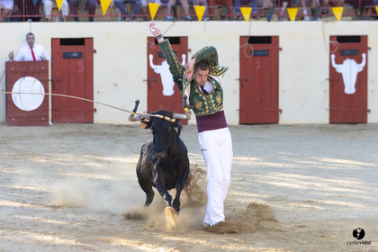 Course landaise